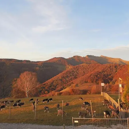 On Monte Generoso Daire *